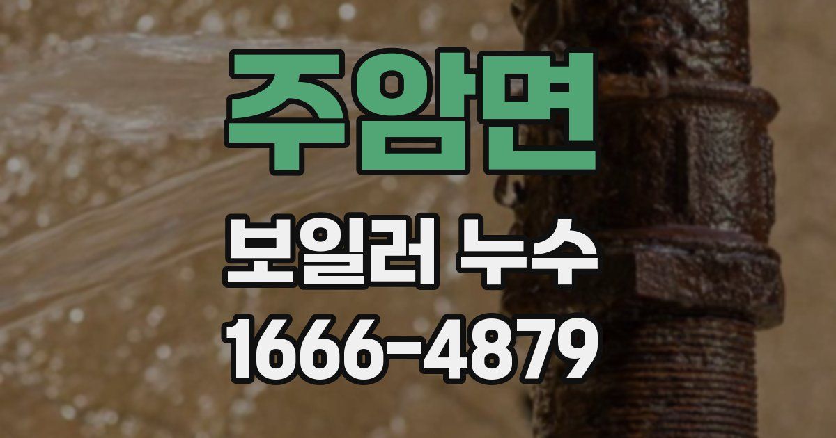 주암면 보일러 누수