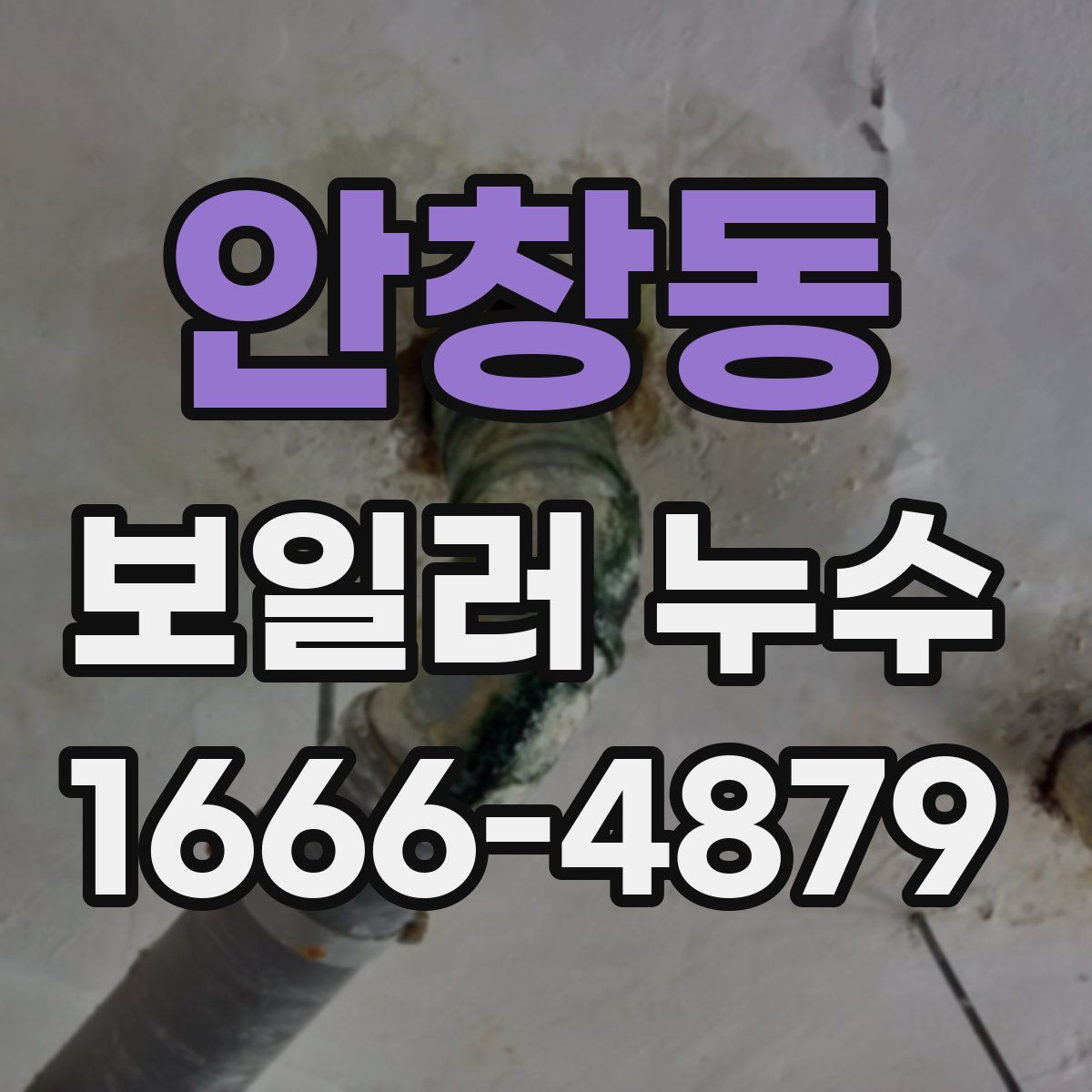 안창동 보일러 누수