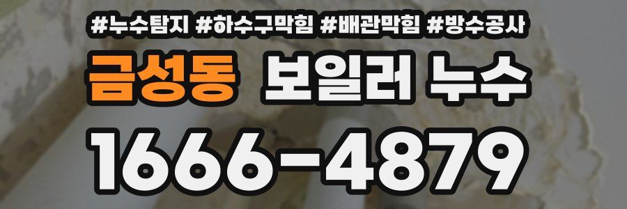 금성동 보일러 누수