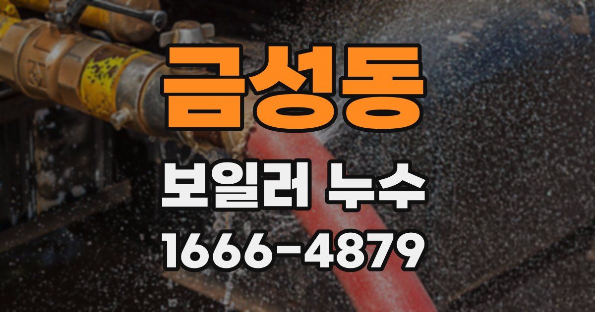 금성동 보일러 누수