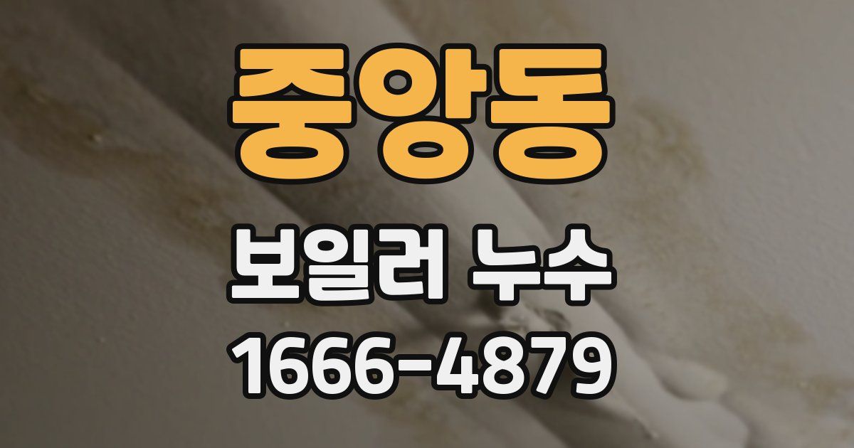 중앙동 보일러 누수