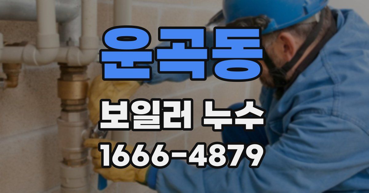 운곡동 보일러 누수