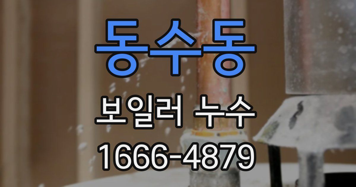 동수동 보일러 누수