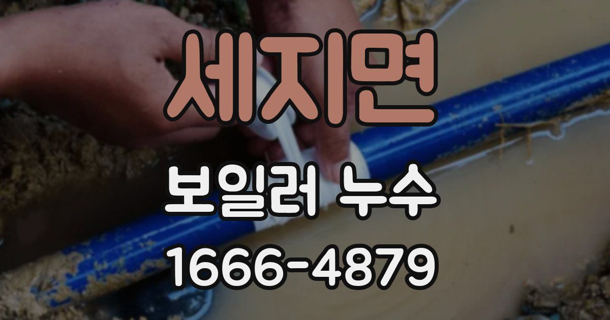 세지면 보일러 누수