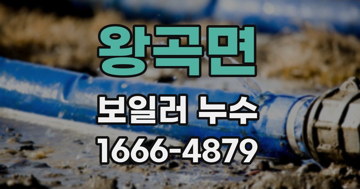 왕곡면 보일러 누수