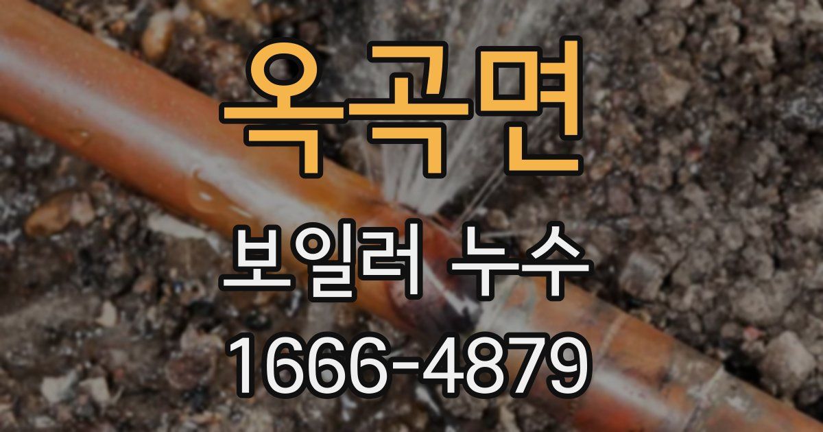 옥곡면 보일러 누수