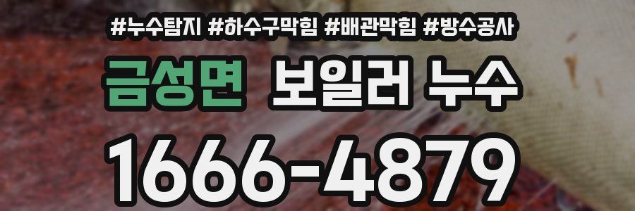 금성면 보일러 누수