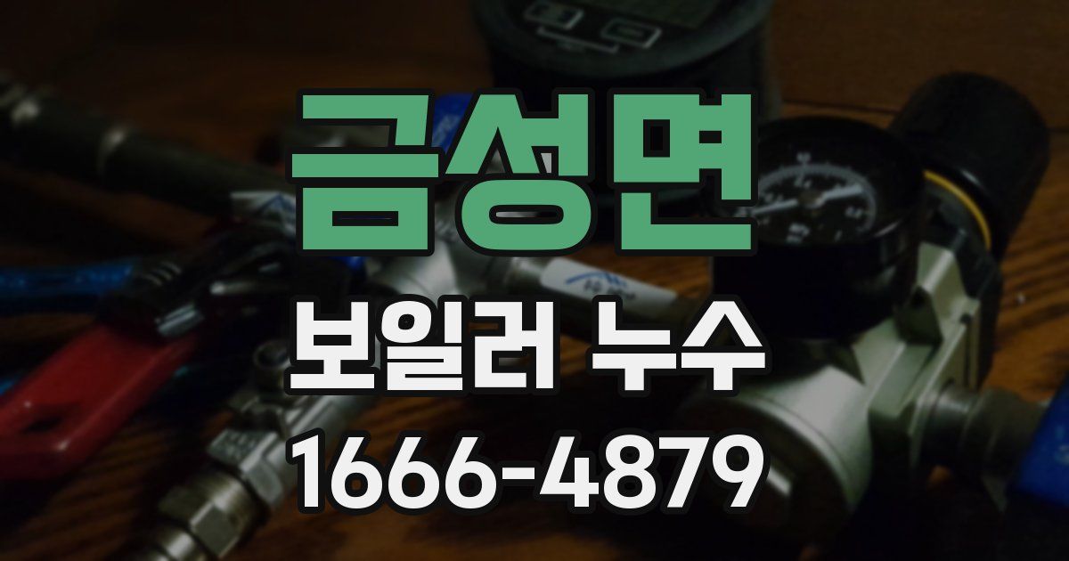 금성면 보일러 누수