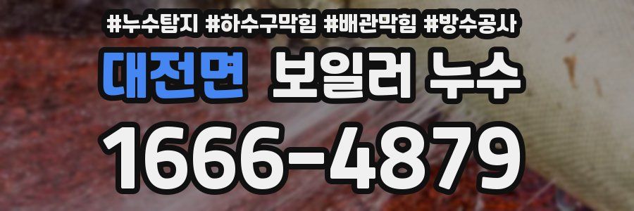 대전면 보일러 누수