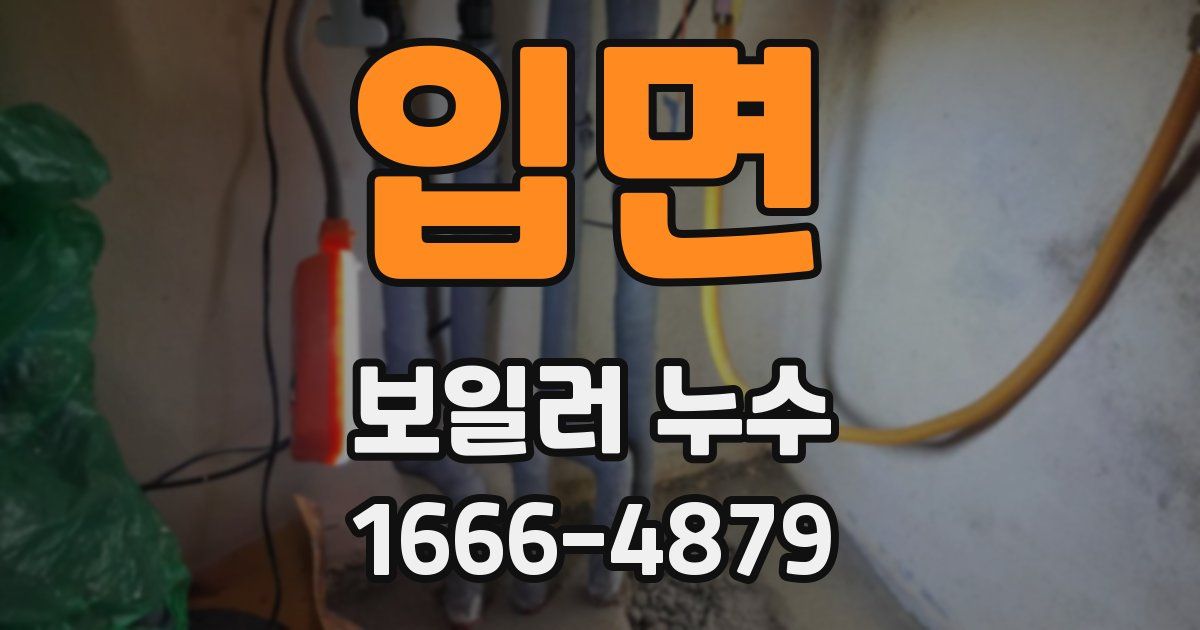 입면 보일러 누수