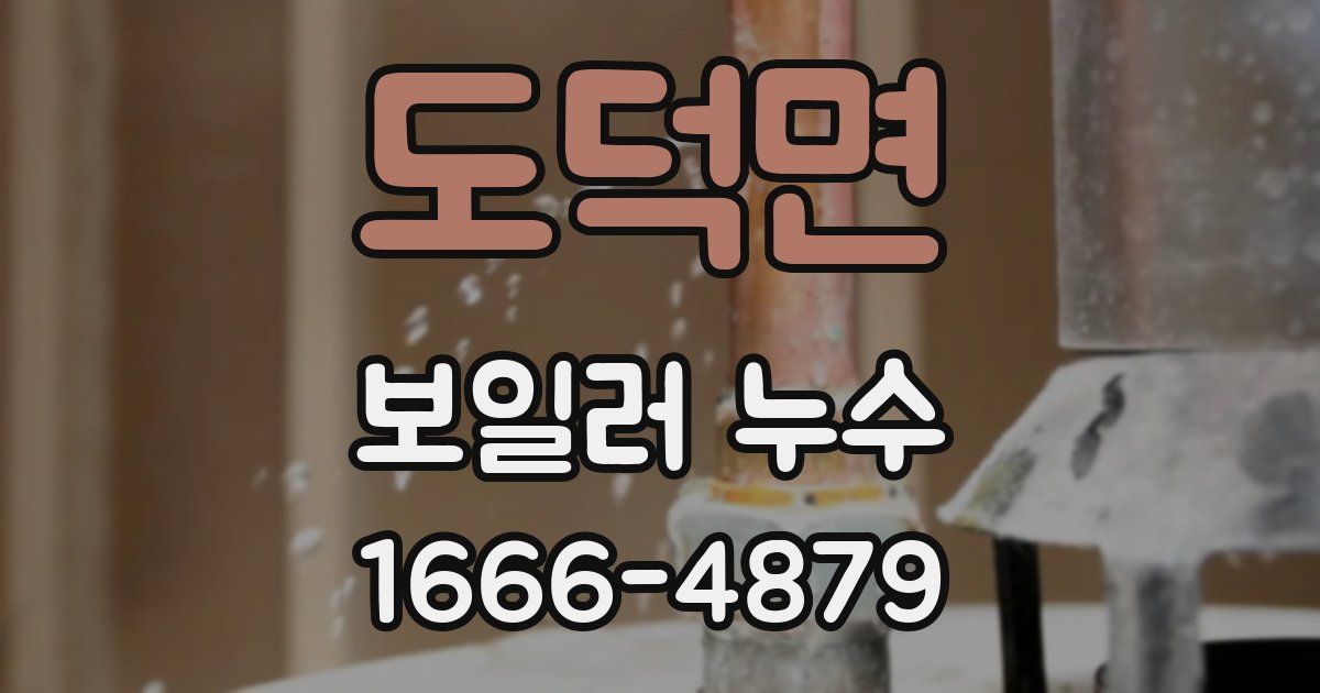 도덕면 보일러 누수