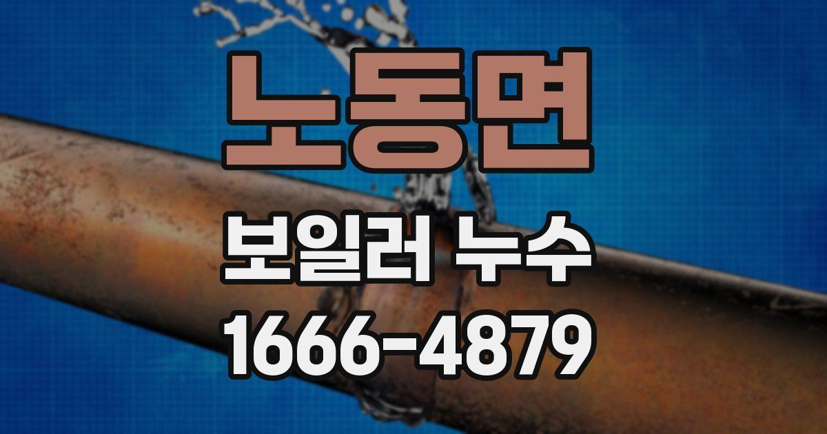 노동면 보일러 누수