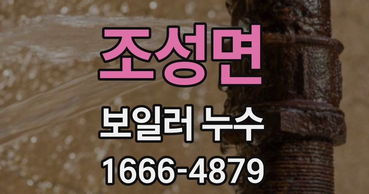 조성면 보일러 누수