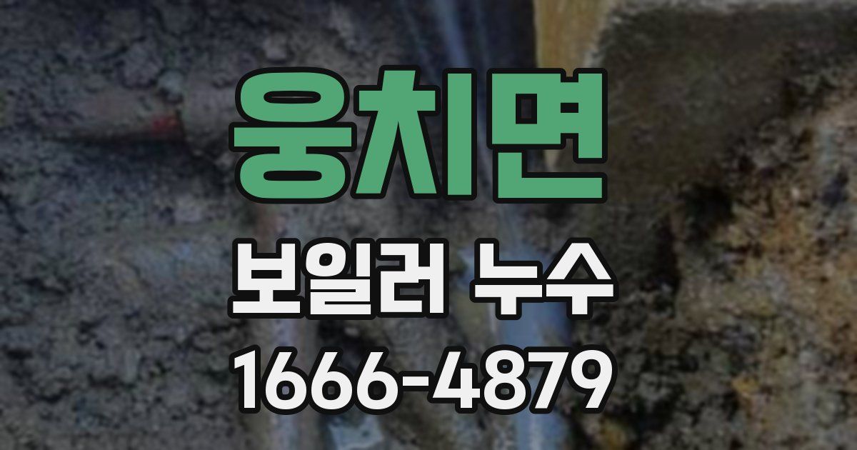 웅치면 보일러 누수