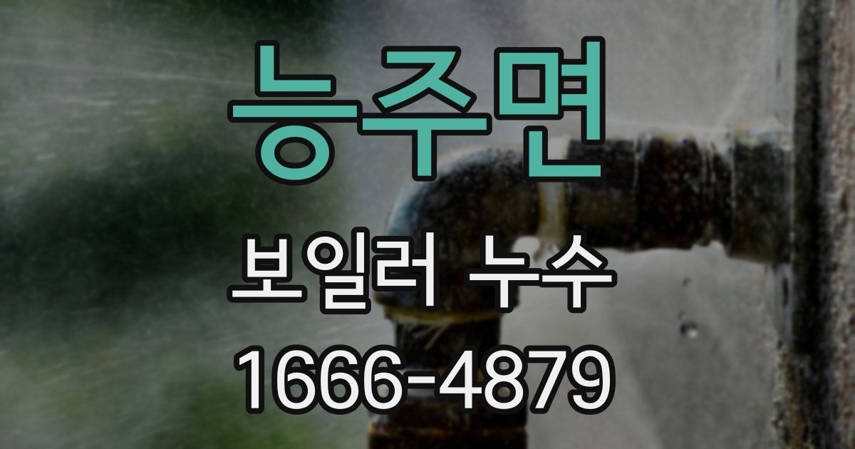 능주면 보일러 누수