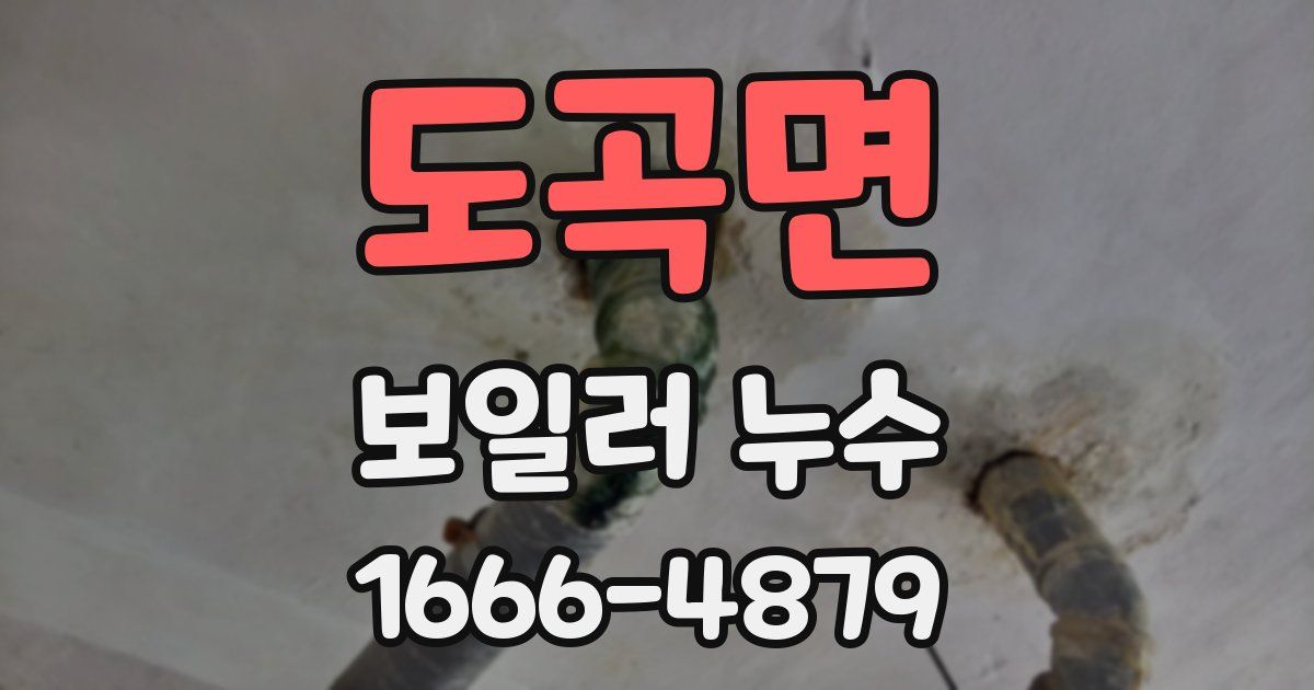 도곡면 보일러 누수
