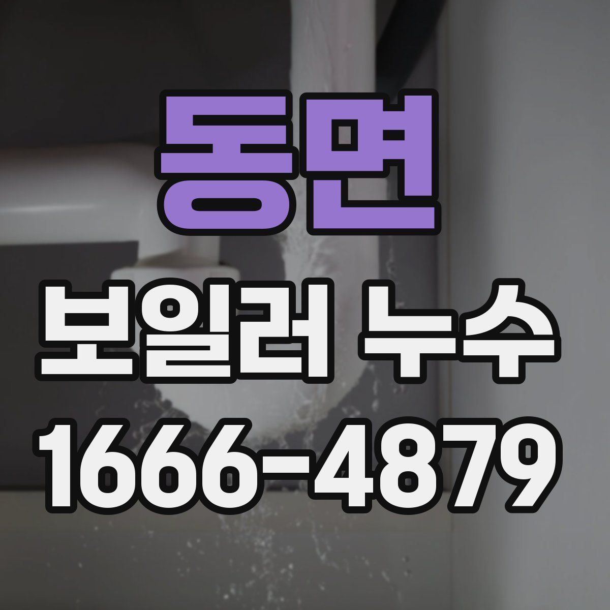동면 보일러 누수