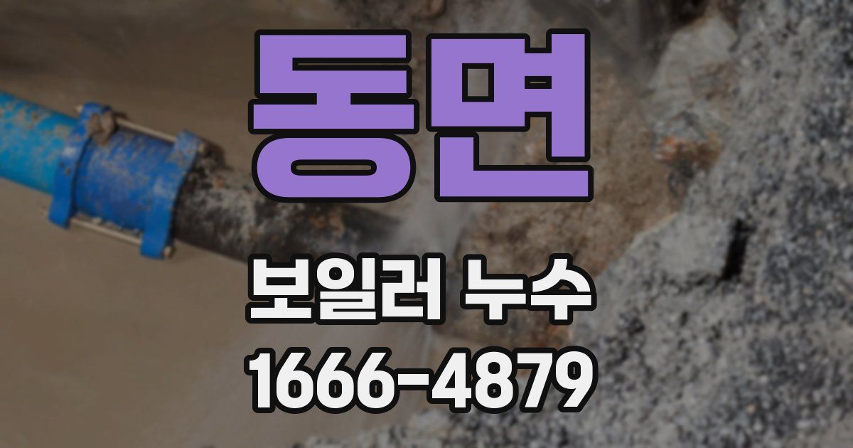 동면 보일러 누수