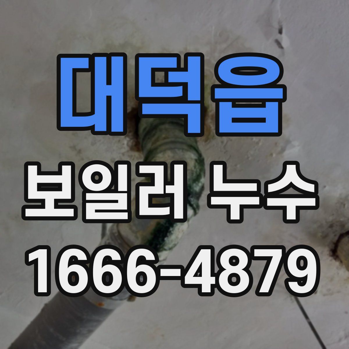 대덕읍 보일러 누수