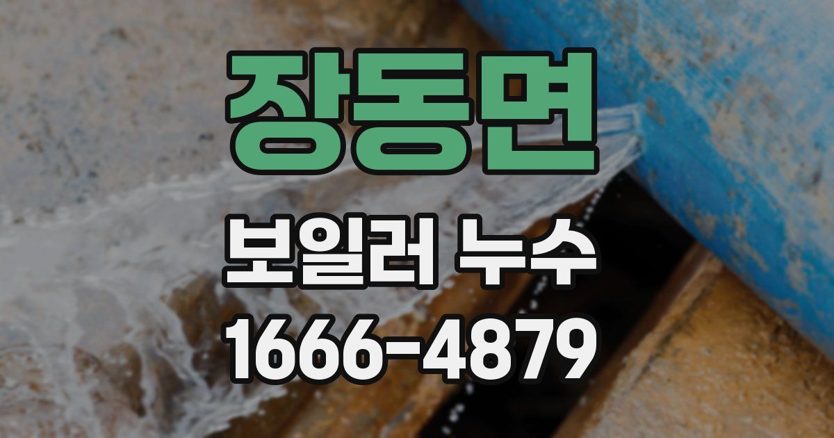 장동면 보일러 누수