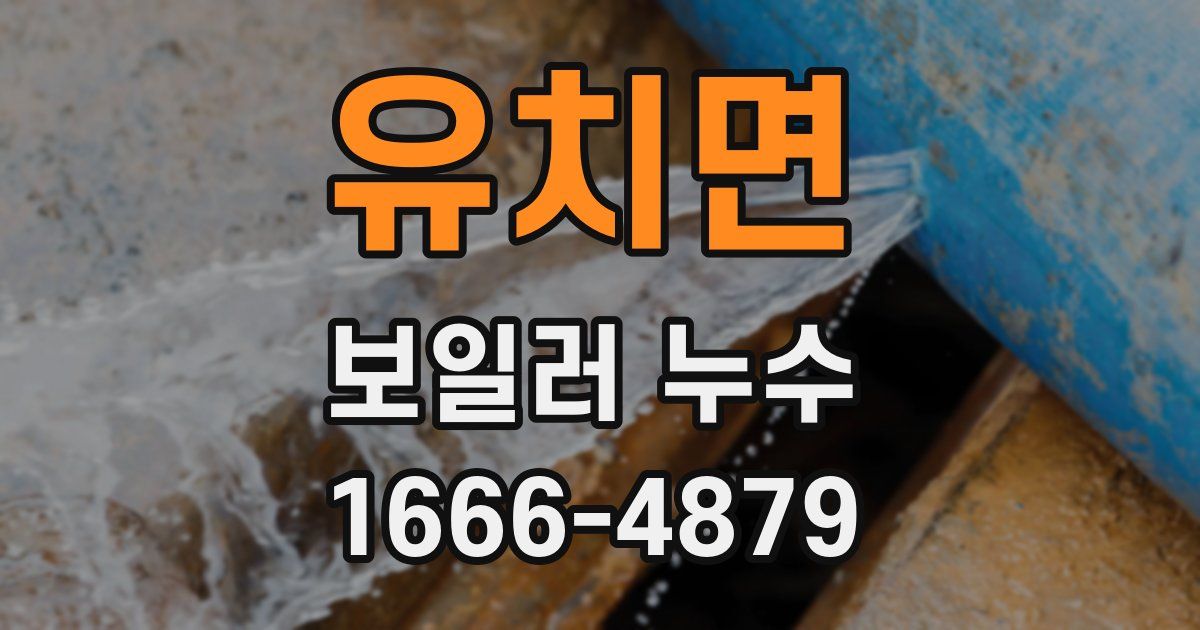 유치면 보일러 누수