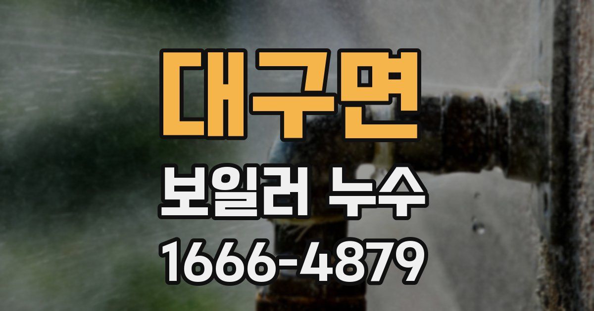 대구면 보일러 누수