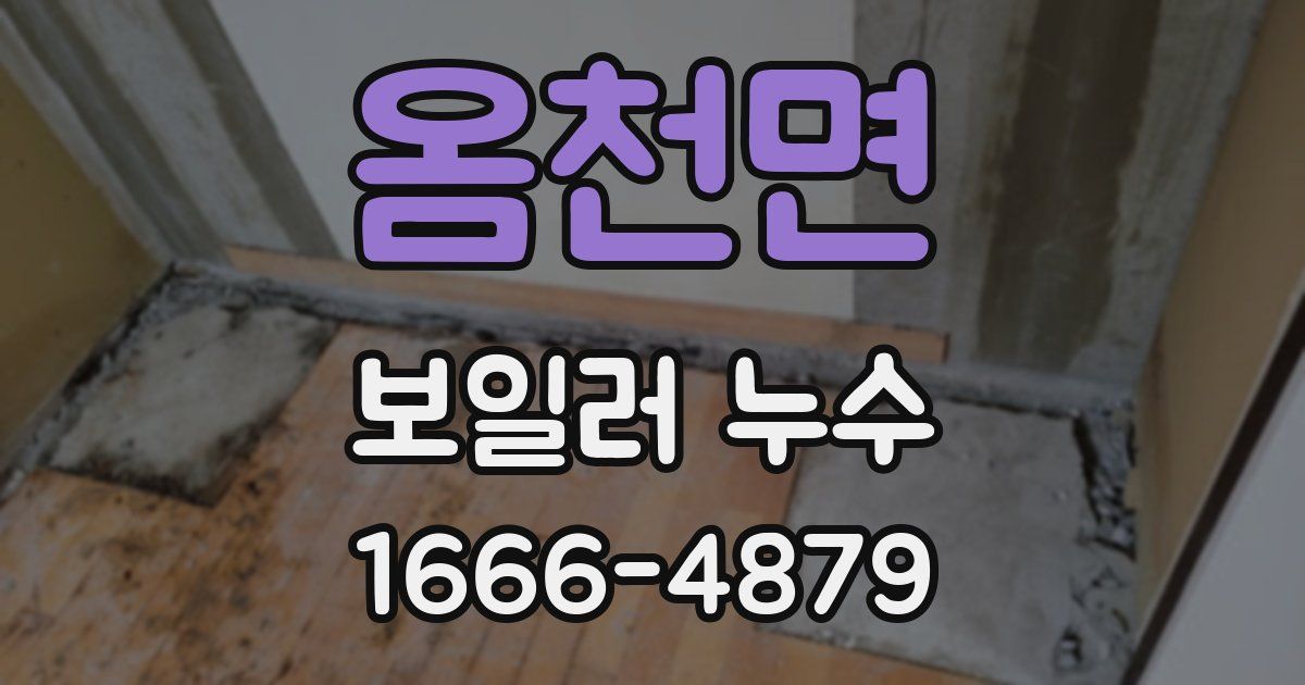 옴천면 보일러 누수