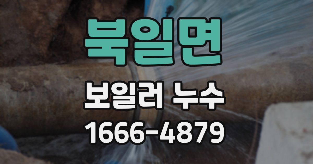 북일면 보일러 누수