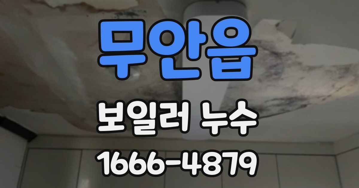 무안읍 보일러 누수