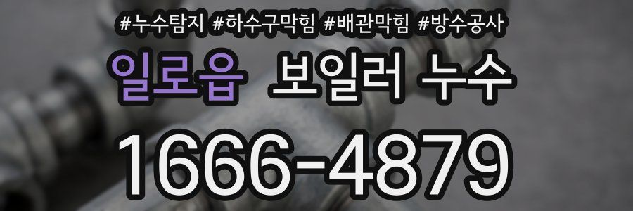 일로읍 보일러 누수