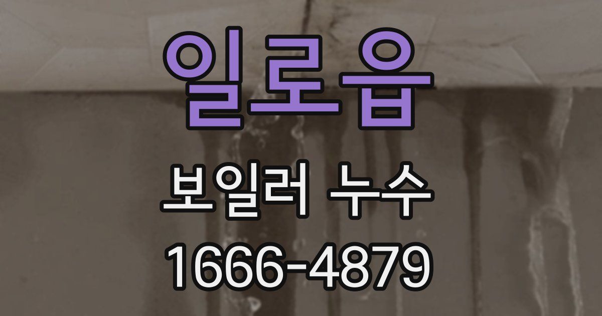일로읍 보일러 누수