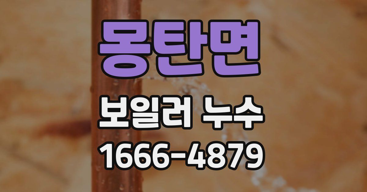 몽탄면 보일러 누수