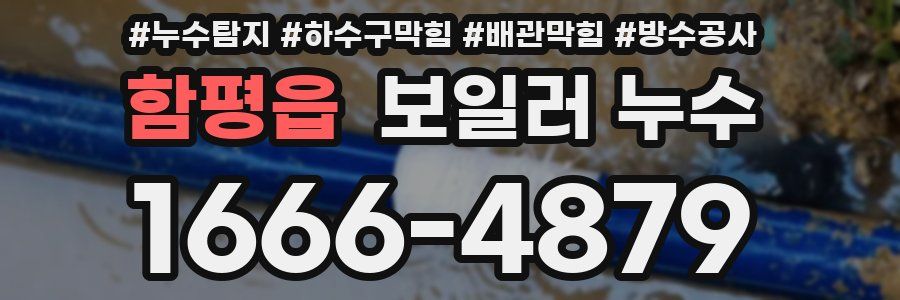 함평읍 보일러 누수