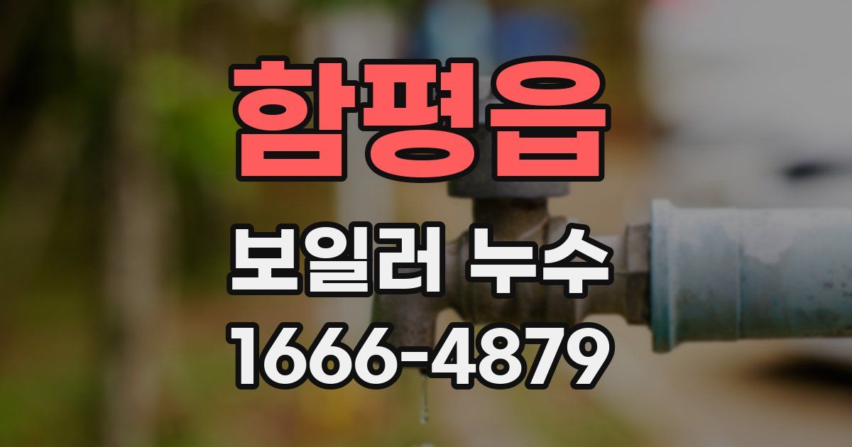 함평읍 보일러 누수