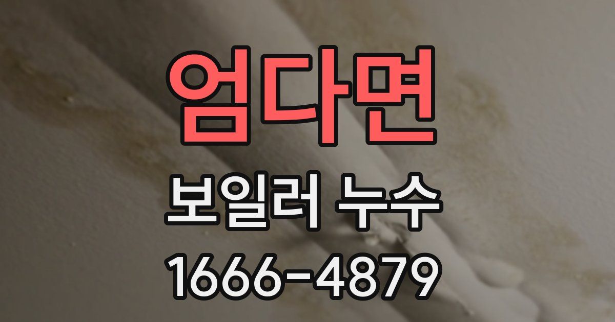 엄다면 보일러 누수