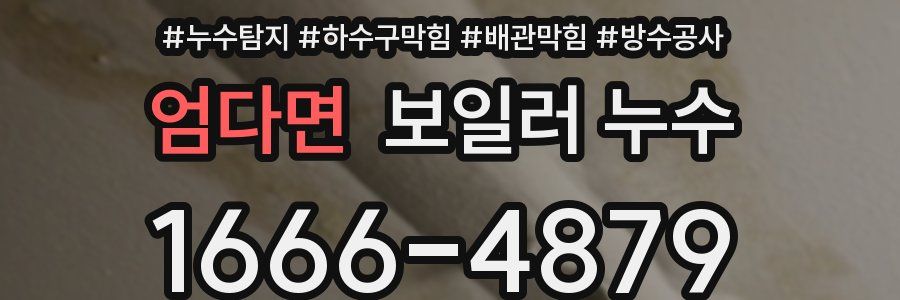 엄다면 보일러 누수