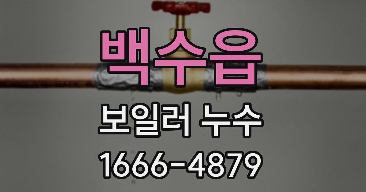 백수읍 보일러 누수