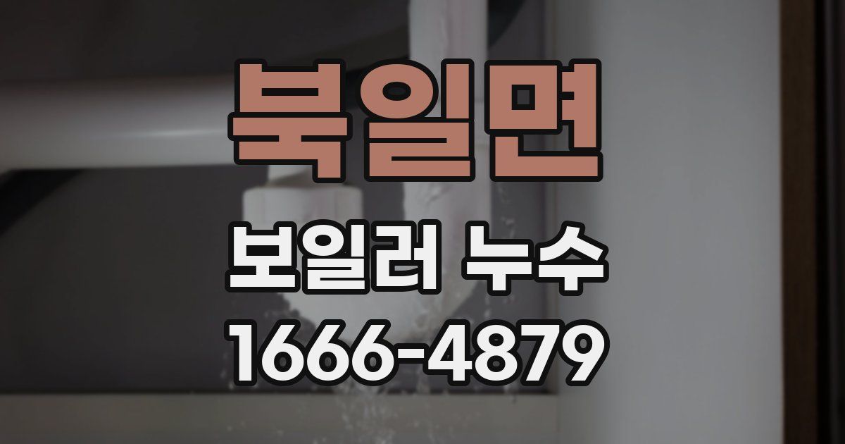 북일면 보일러 누수