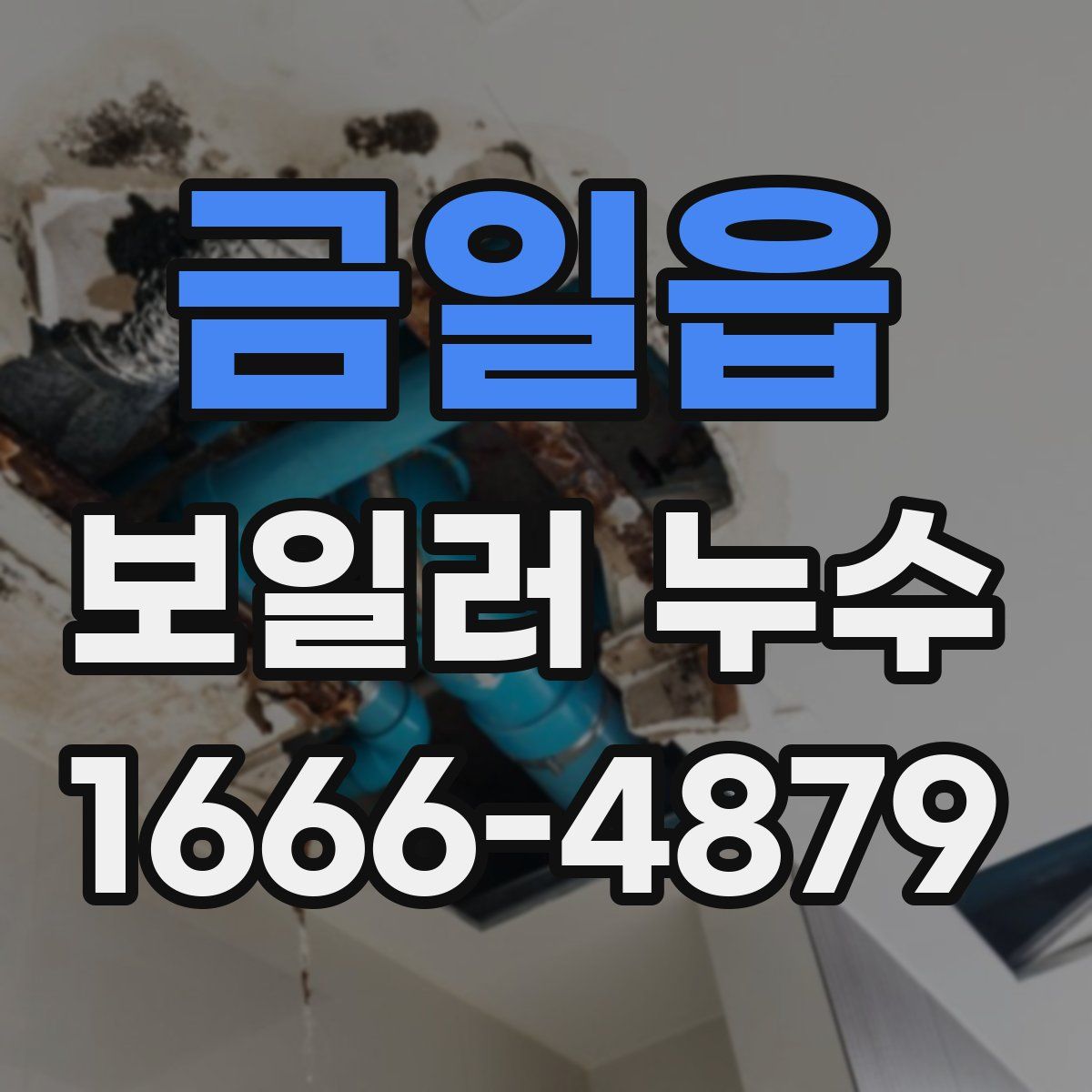 금일읍 보일러 누수