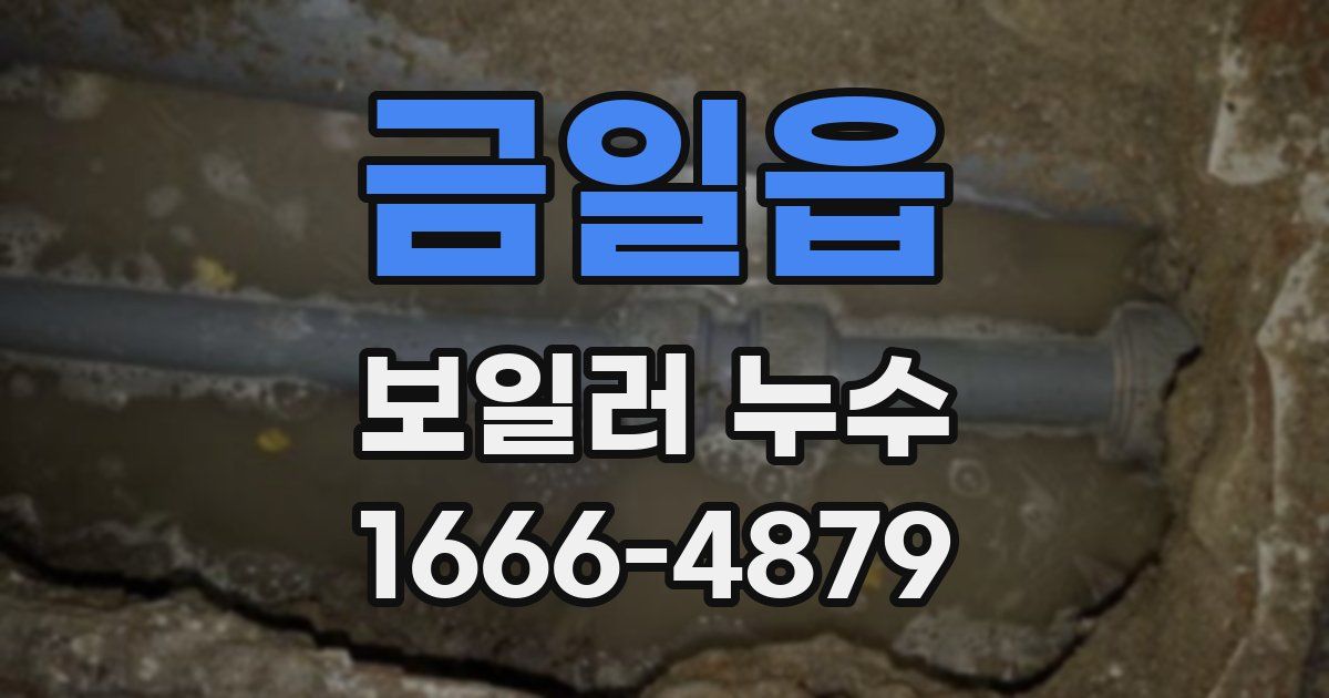 금일읍 보일러 누수