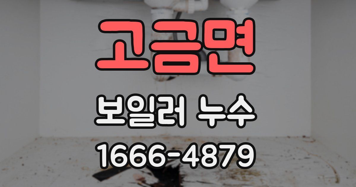 고금면 보일러 누수