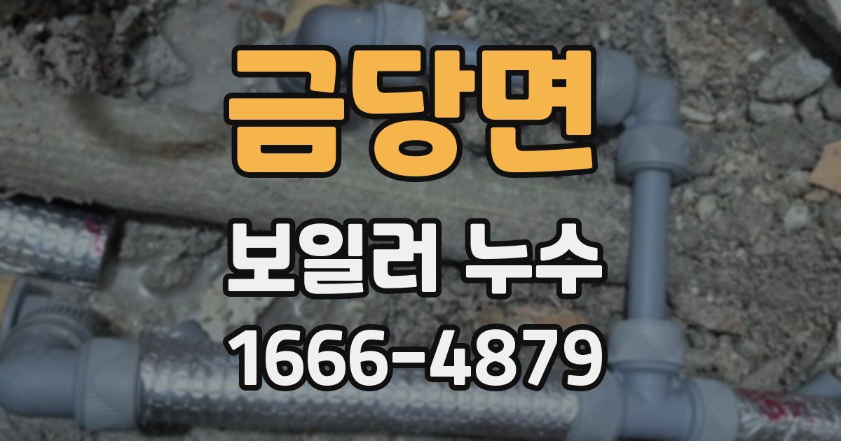 금당면 보일러 누수