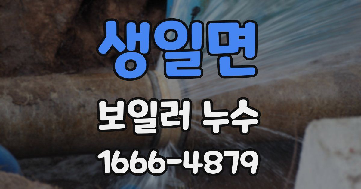 생일면 보일러 누수