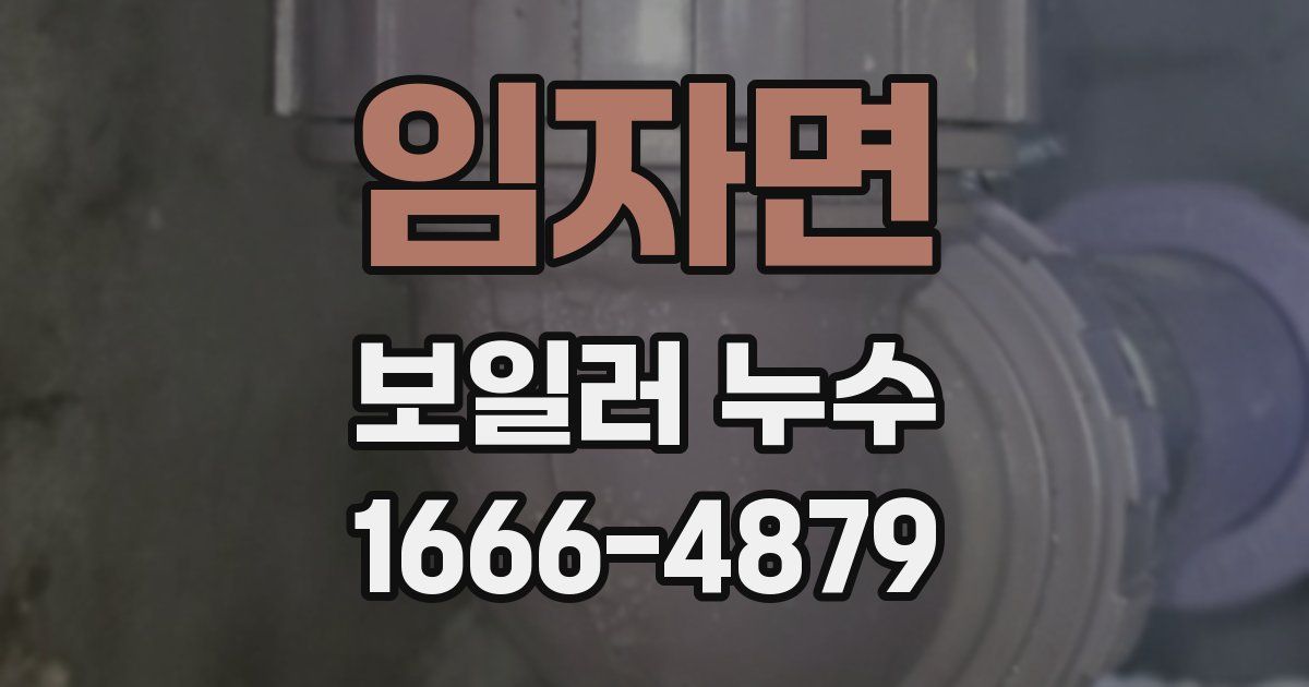임자면 보일러 누수