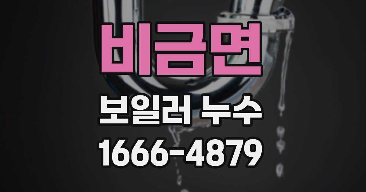 비금면 보일러 누수