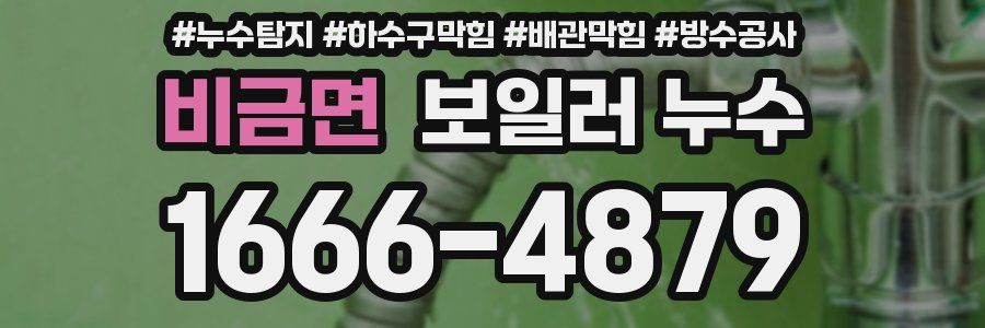 비금면 보일러 누수
