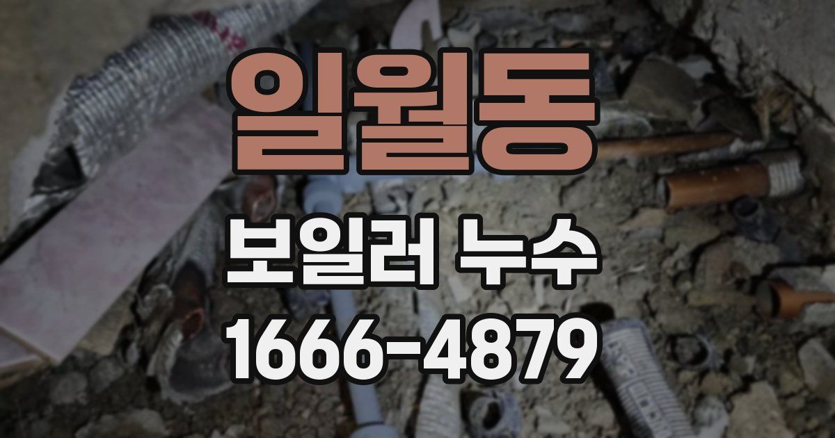 일월동 보일러 누수