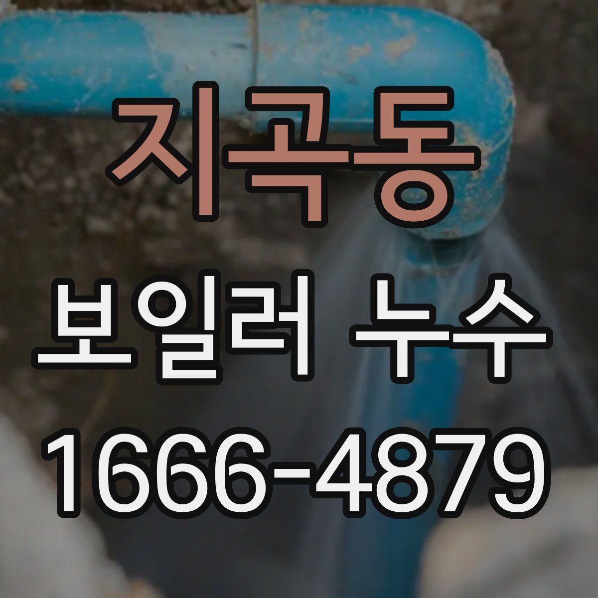 지곡동 보일러 누수