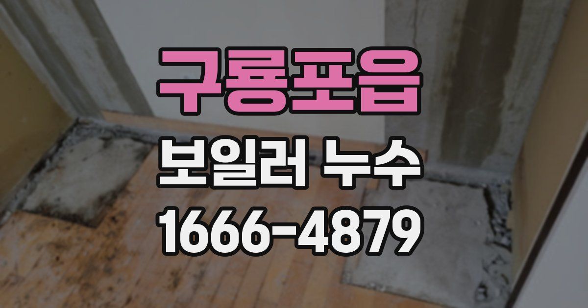 구룡포읍 보일러 누수