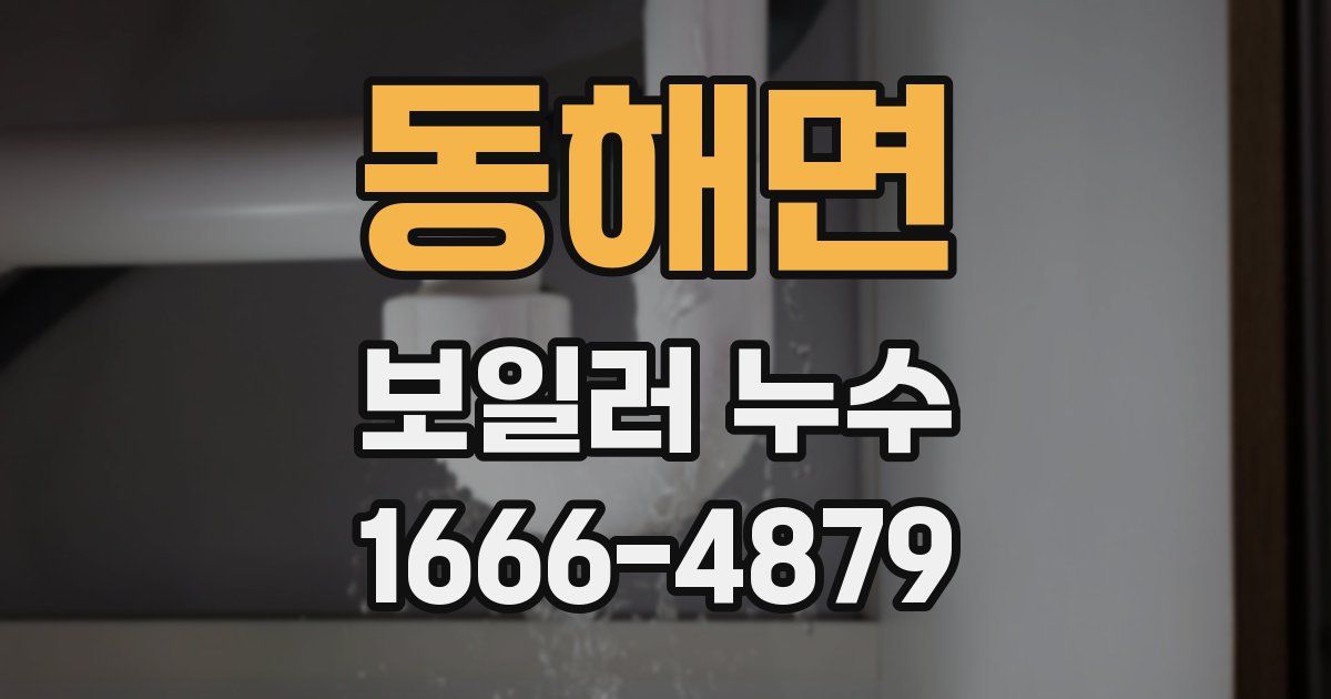 동해면 보일러 누수